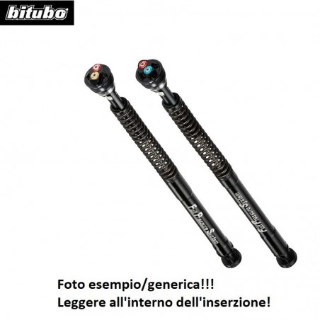 Cartuccia pres. BITUBO APRILIA RSV4 RR/EURO 4 ABS SACHS FORK 17-20 A0047EBH09 4