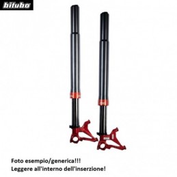 Forcella BITUBO FORK...